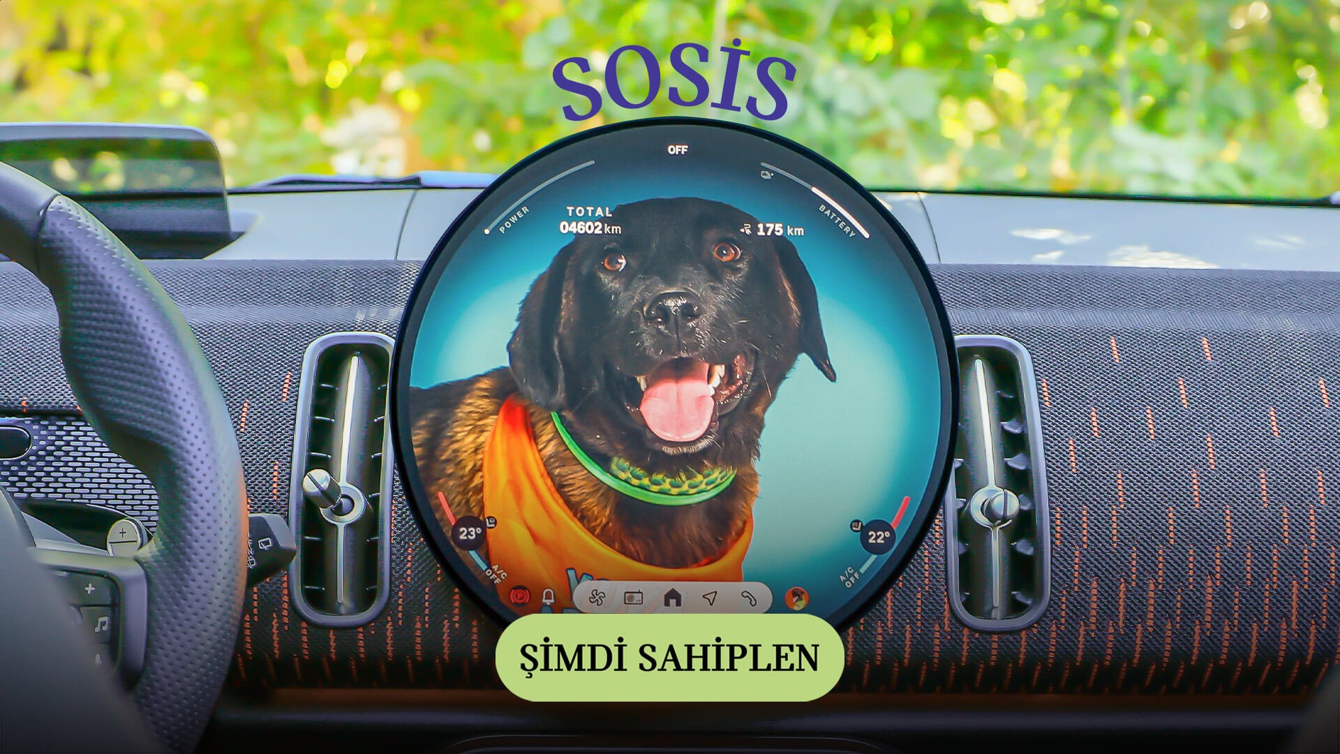 MINI Pati | MINI Türkiye